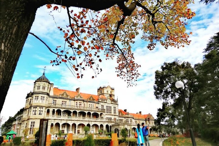 Private day tour of Shimla and Kufri, Shimla