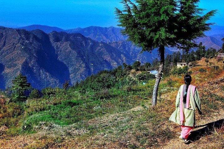 Shimla walking tour with a local guide, Shimla