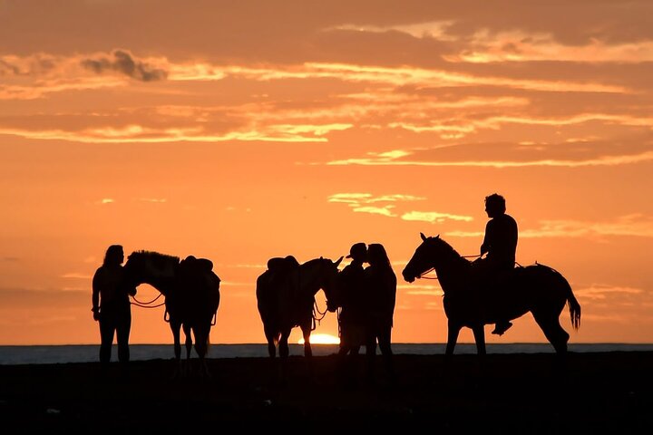 Horseback Riding in Puerto Carrillo: Beach & Jungle, Sámara