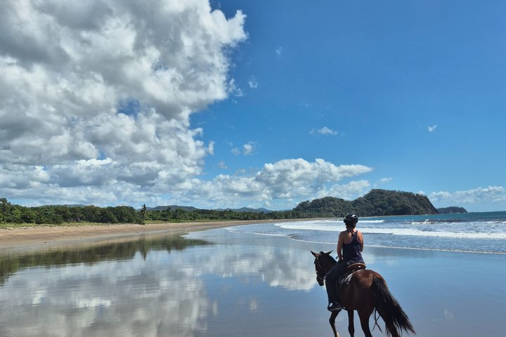 Jungle and Beach Horseback Riding Tour - 2H 1/2, Sámara