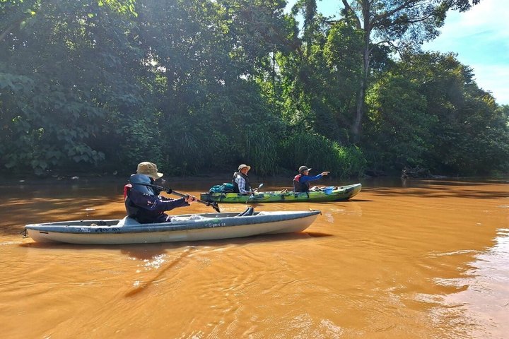 Mangrove Kayak - near Sámara & Carrillo Beach, Sámara