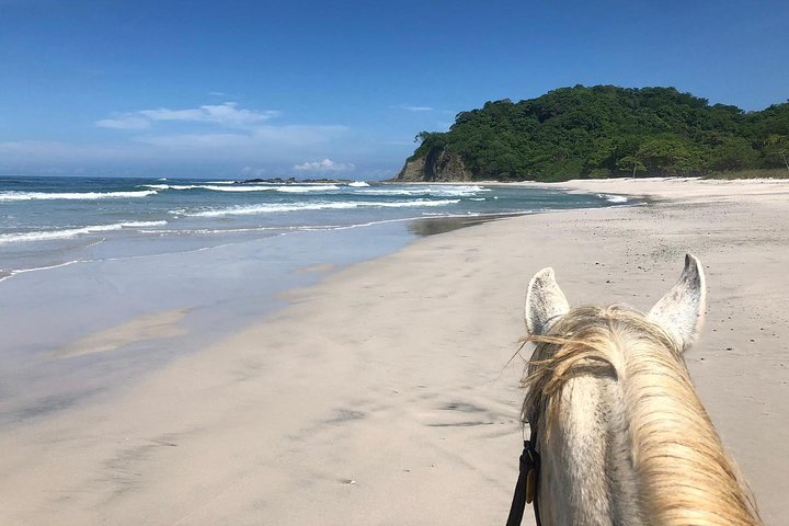 Safari & Barigona Beach on horseback — Nature & wildlife things to do in Sámara
