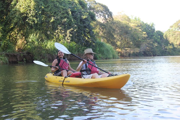Wildlife and Mangrove Kayaking Tour Río Ora, Sámara