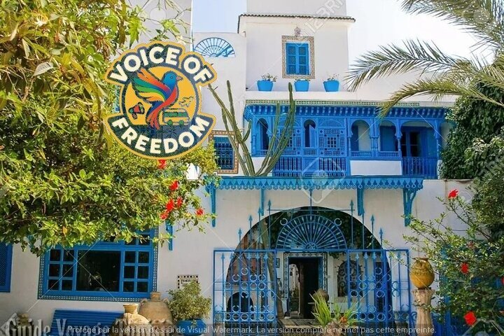 Private Day Trip: Carthage, Blue & White Sidi Bou Said & More, Sousse