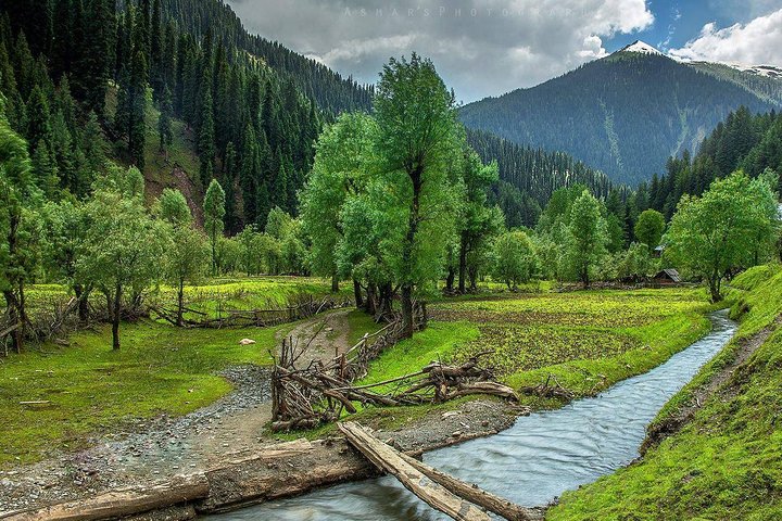 Six-day private tour of Kashmir, Srinagar