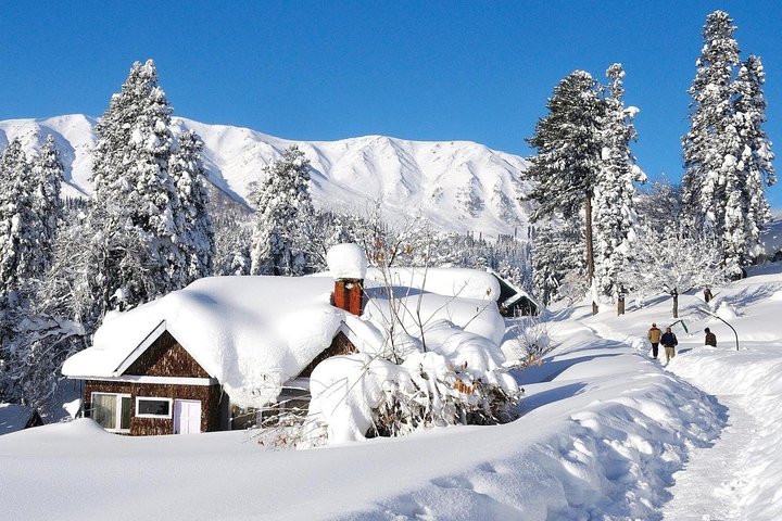 Gulmarg day excursion from Srinagar with lunch, Srinagar
