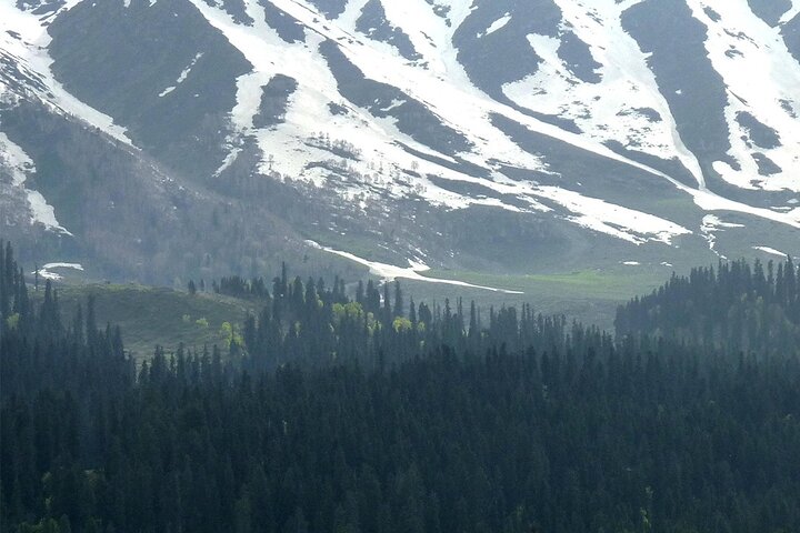 Gulmarg day trip from Srinagar with Gondola ride, Srinagar