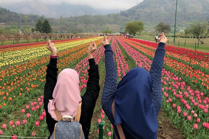 Four-day private tour of Kashmir, Srinagar