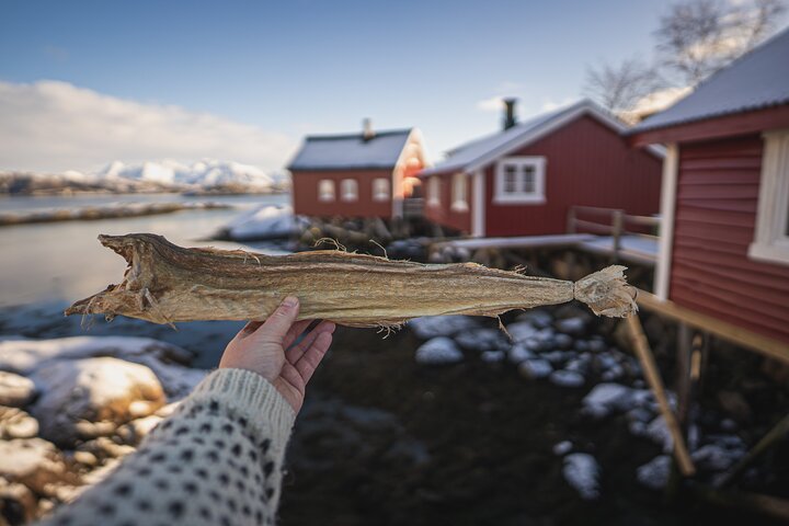 experiences in Svolvaer