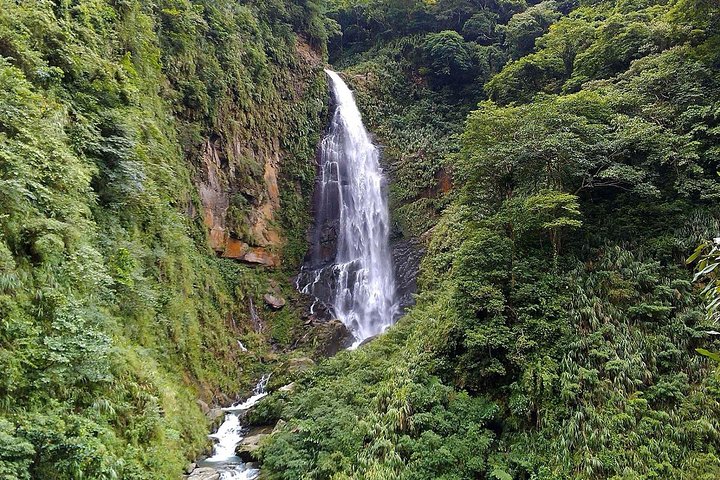 1D Tour to Cingjing Farm from Taichung, Taichung