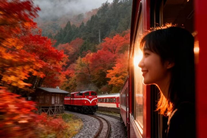 Between Cloud Sea and Ancient Woods Alishan Awaits, Taichung