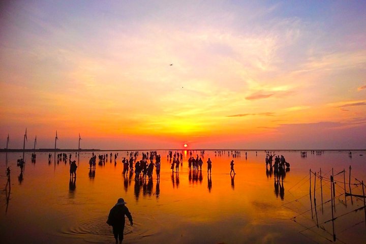Spirits of the Sea, Dajia, Baishatun and Gaomei Day Trip, Taichung