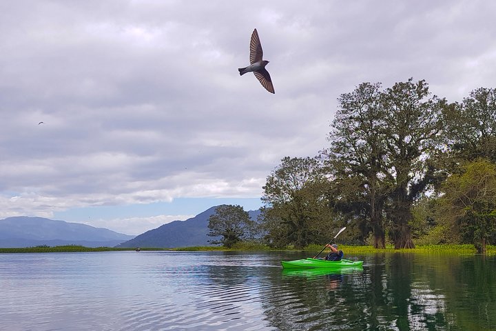 Yojoa Lake Day Trip from Tegucigalpa — Day trips things to do in Tegucigalpa