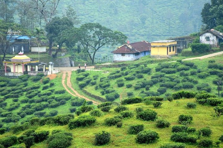 Thekkady day tour: plantations, ashram, and scenic viewpoints, Thekkady