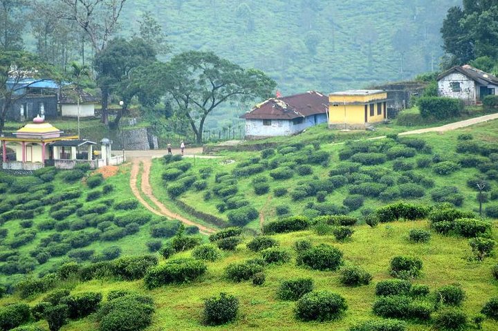 Thekkady rural tour with spice plantation and lunch, Thekkady