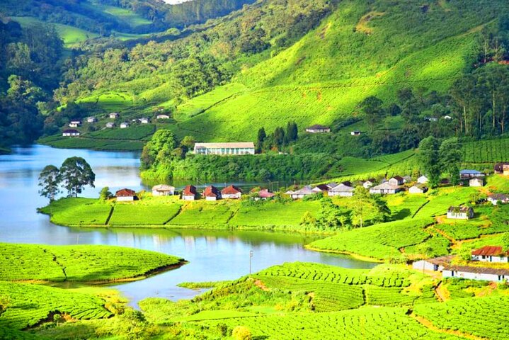 Full-day private tour of Thekkady's wild trails, Thekkady