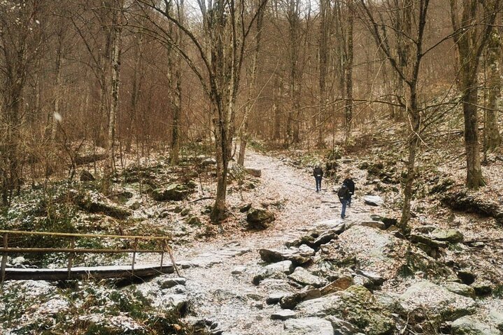 One day Escape to the Countryside of Banat, Timisoara