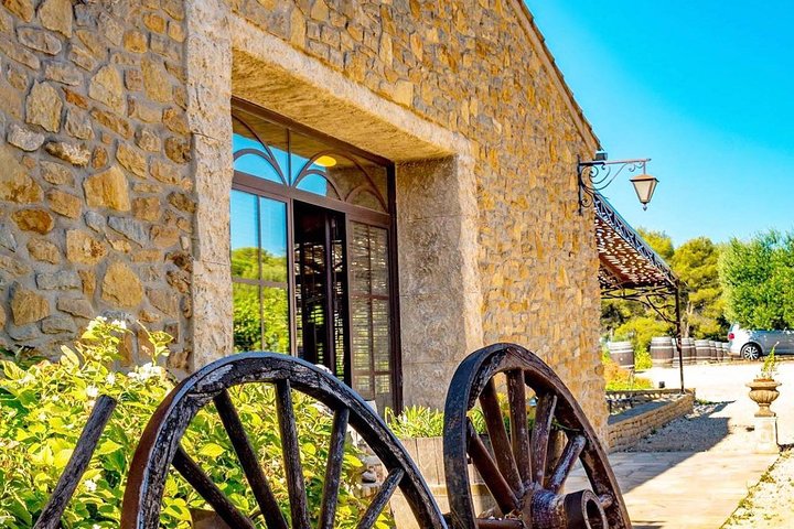 Cellar Visit & Bandol Wine Tasting (in French), Toulon