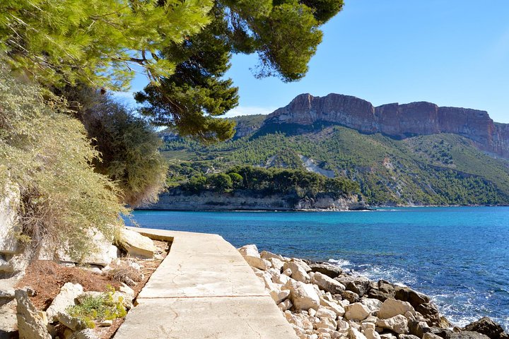 Highlights of Provence : food, wine and seaside in Cassis and Aix — Food & drink things to do in Toulon