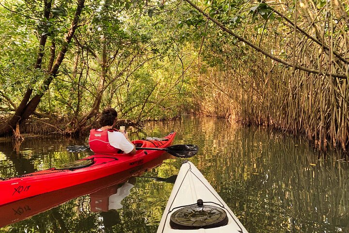 Kayaking in the Paravur Backwaters near Varkala, Trivandrum
