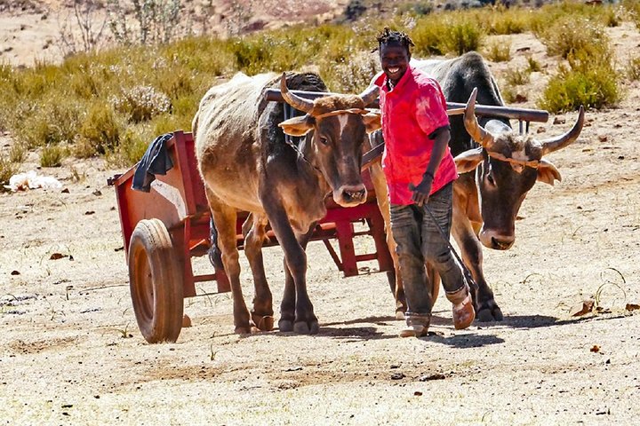 Saga of the Sani Pass and Mokhotlong Tour, Underberg