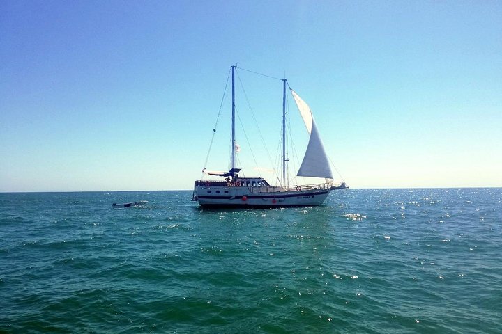 Superb Black Sea Yacht Picnic with Food & Drinks, Varna