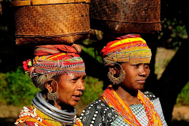 Tribal communities and tiger safari from Vizag to Nagpur, Visakhapatnam