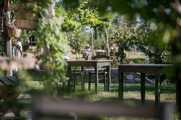 Pelion Private Experience: Farm-to-Table Cooking — Adventure things to do in Volos