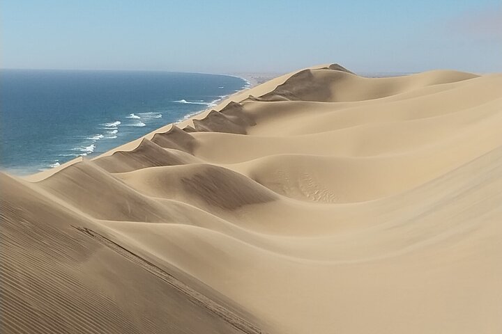 Classic Sandwich Harbor Experience Full Day — Luxury & private things to do in Walvis Bay