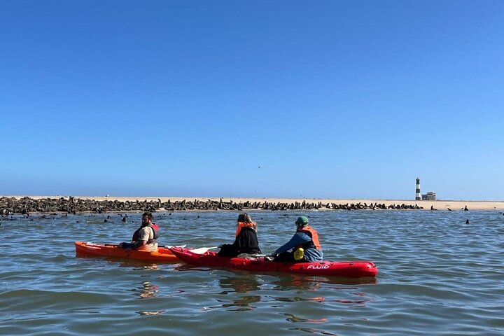Seal Kayaking at Pelican Point from Walvis Bay, Walvis Bay