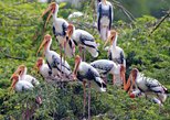 Keoladeo Ghana National Park in Agra — view 2