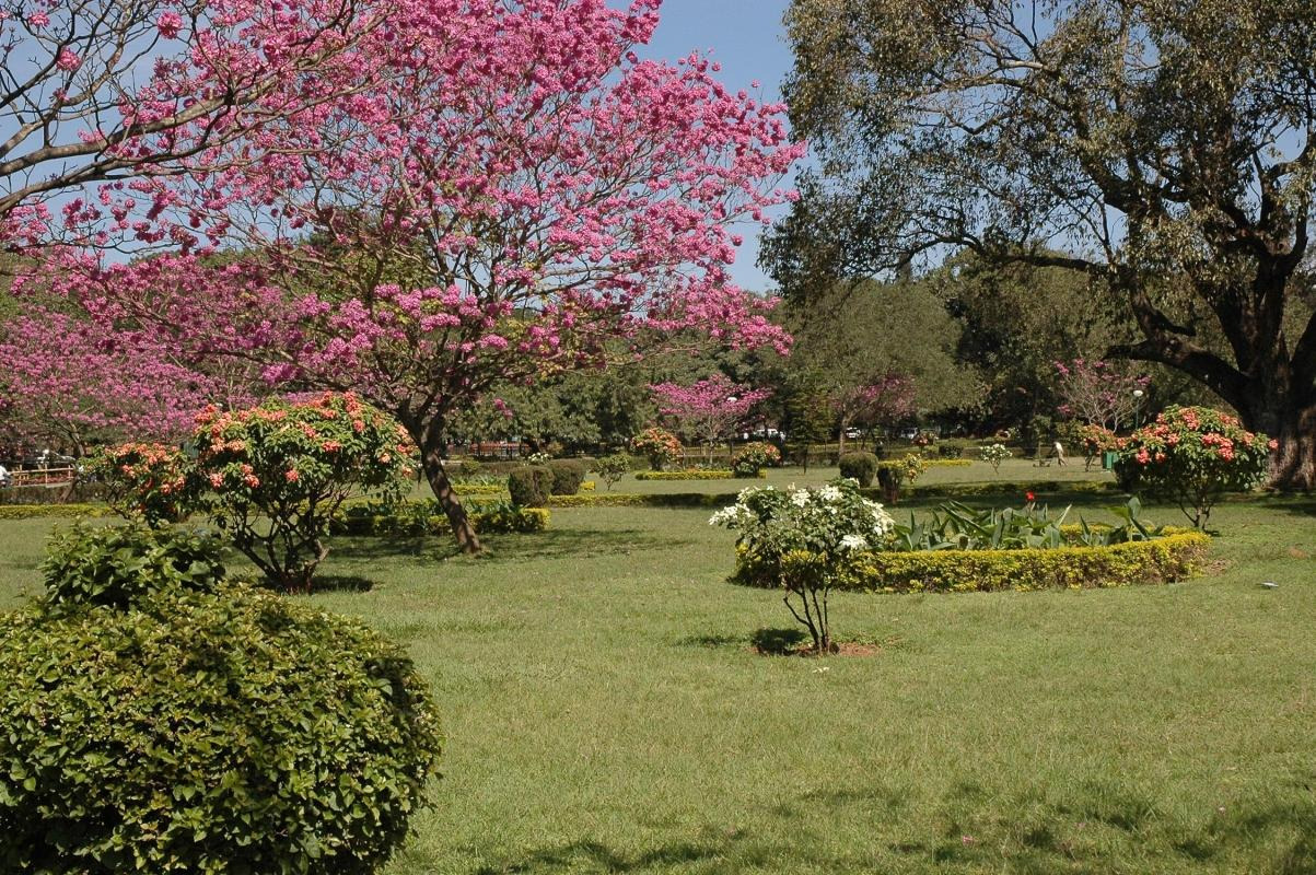 Sri Chamarajendra Park (Cubbon Park) — places to visit in Bangalore