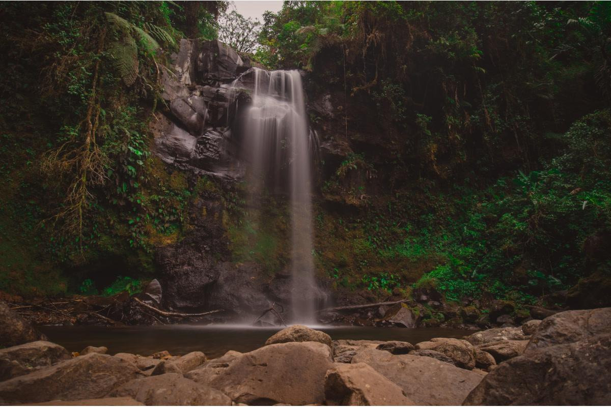 The Lost Waterfalls, Boquete