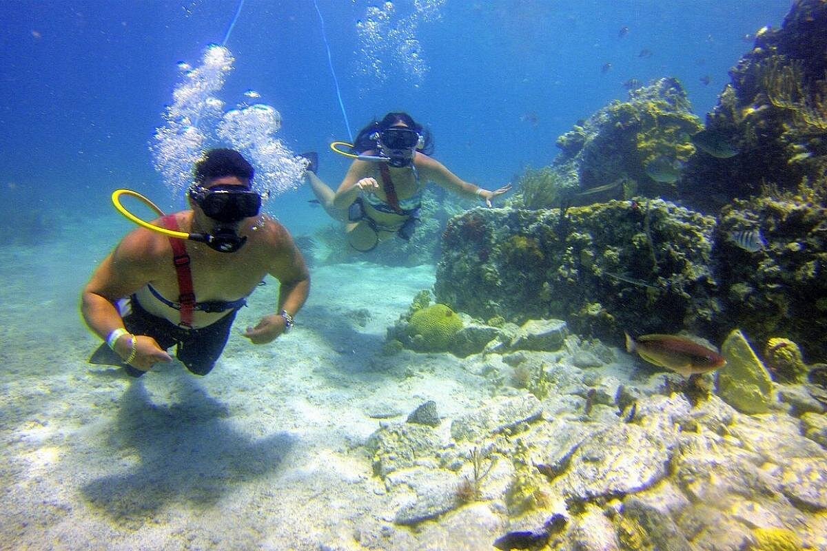 Coral World Ocean Park — places to visit in Cruz Bay