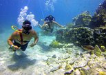 Coral World Ocean Park in Cruz Bay — view 2
