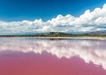 Lake Retba (Lac Rose) in Dakar — view 2