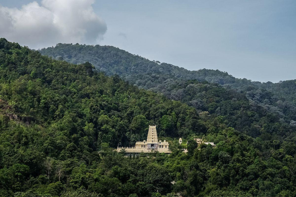 Arulmigu Balathandayuthapani Temple — places to visit in George Town