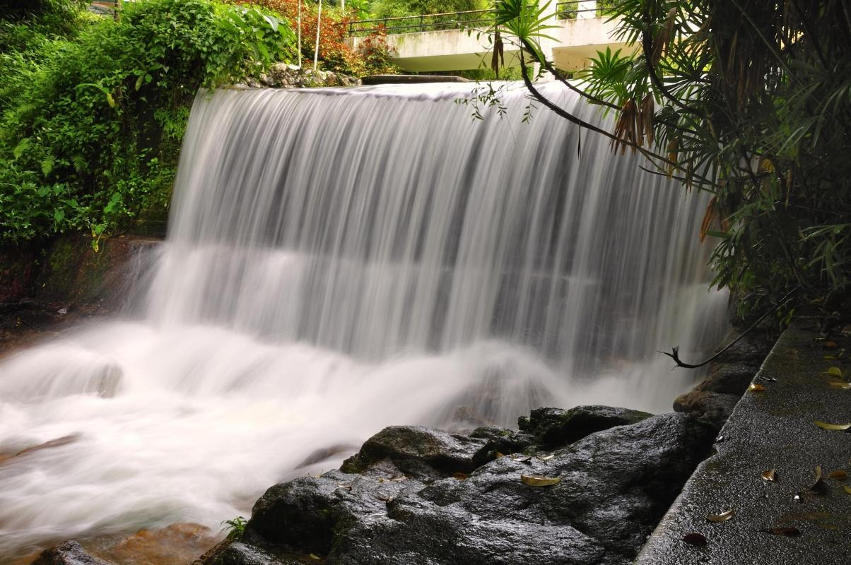 Penang Botanical Gardens (Taman Botani Penang) — places to visit in George Town