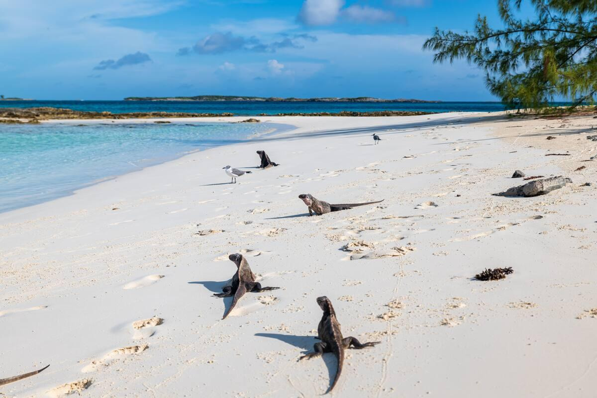 places in Great Exuma