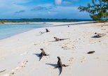 Coco Plum Beach in Great Exuma — view 2