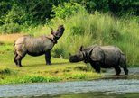 Pobitora Wildlife Sanctuary in Guwahati — view 2