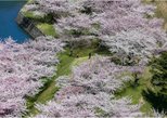 Goryokaku Park in Hakodate — view 2