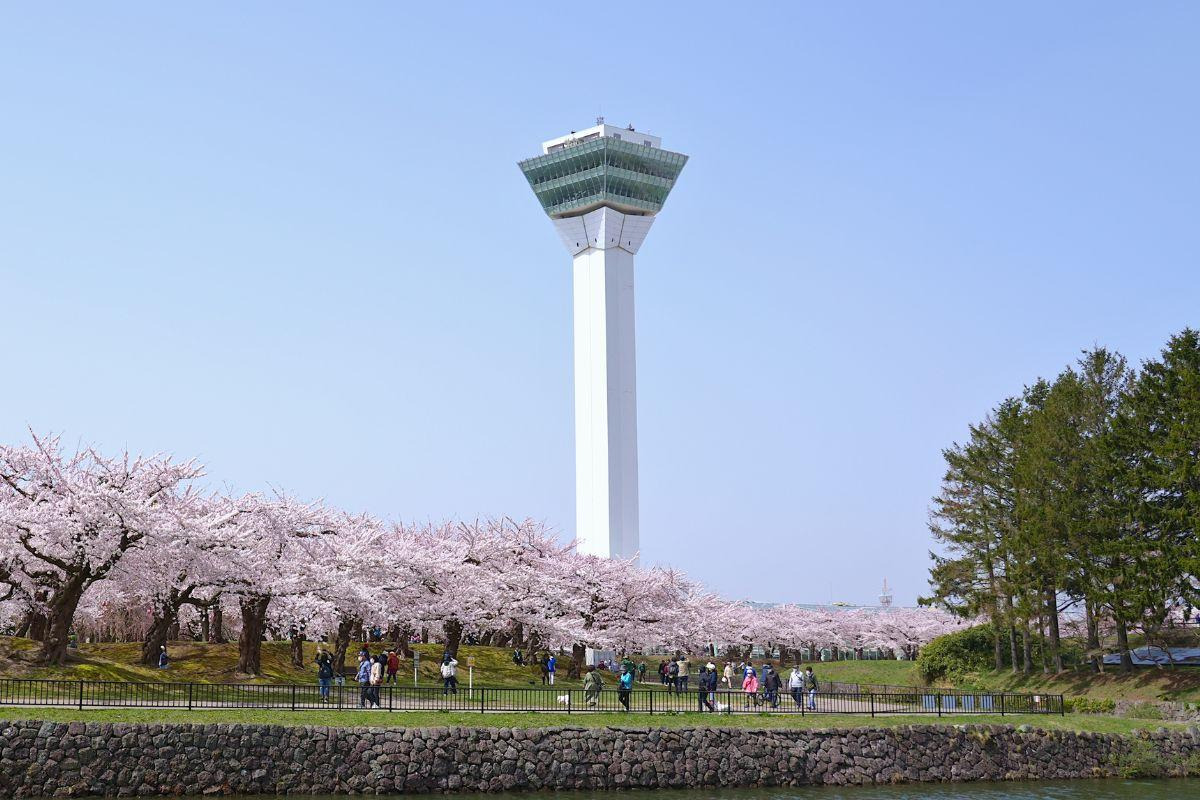 Goryokaku Tower — places to visit in Hakodate