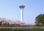 Goryokaku Tower in Hakodate — view 2