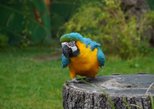 Hannover Adventure Zoo (Erlebnis Zoo Hannover) in Hannover — view 2