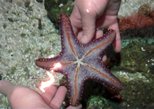 SEA LIFE® Hannover in Hannover — view 2