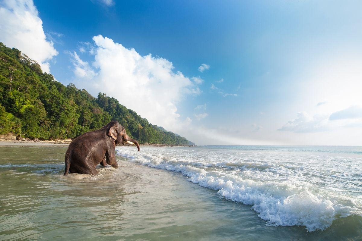 places in Havelock Island