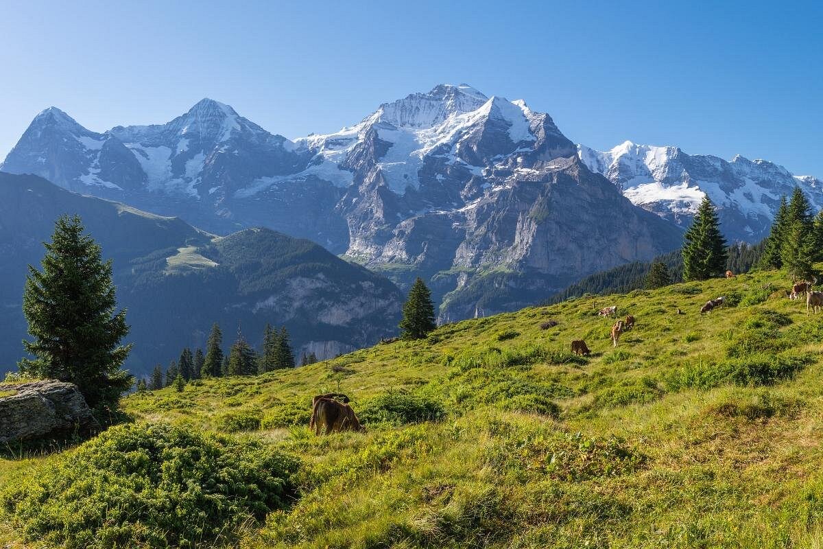 places in Interlaken