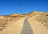 Curonian Spit & Kursiu Nerija National Park in Klaipeda — view 2