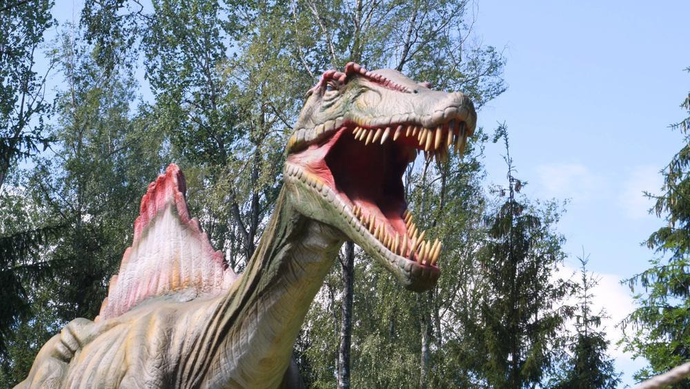 Dinosaur Park (Dino Parkas Radailiai), Klaipeda
